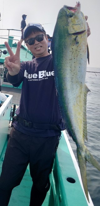シイラ