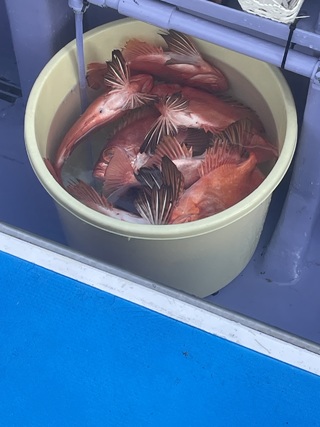 イナダ