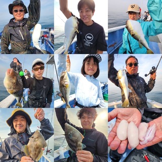 ショウサイフグ