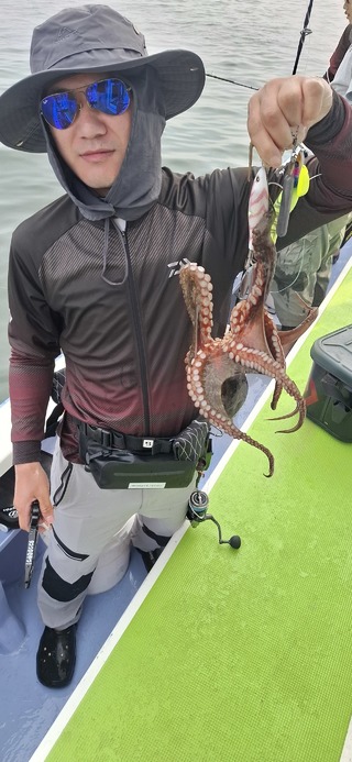 タコ