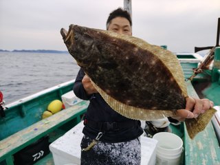 ヒラメ