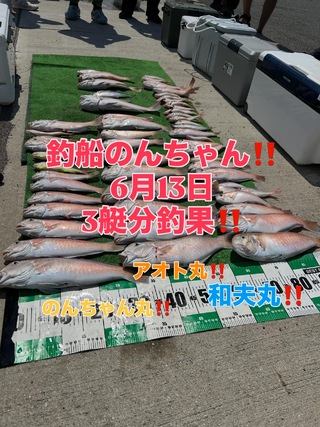 シロアマダイ