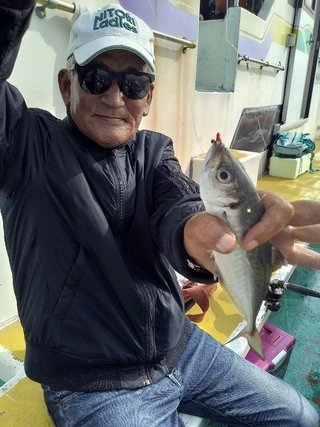 アジ