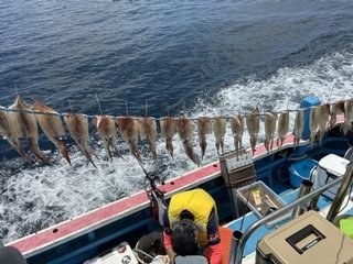 スルメイカ
