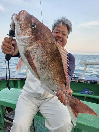 マダイ
