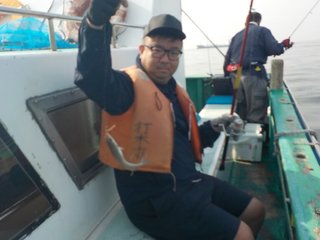 シロギス