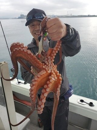 タコ