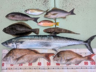 タイ