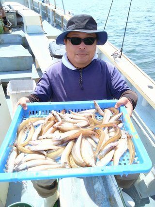 シロギス