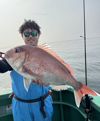マダイ