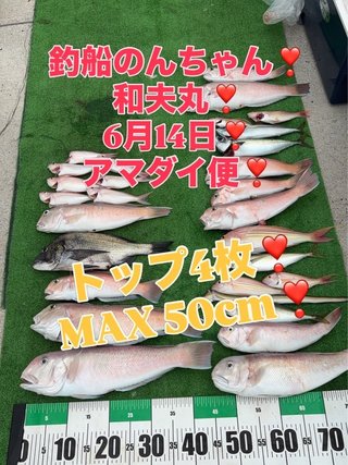 シロアマダイ