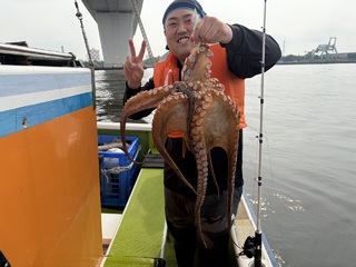 タコ
