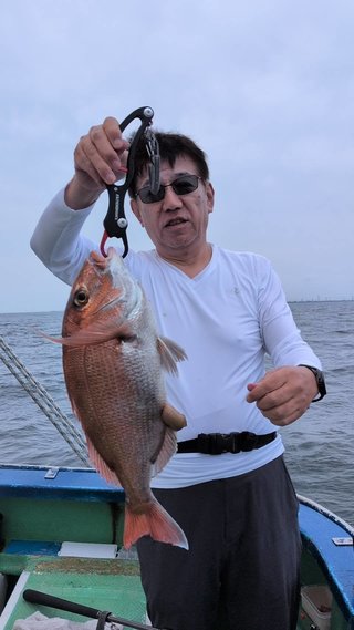 マダイ