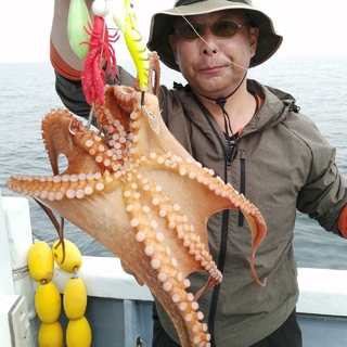 タコ
