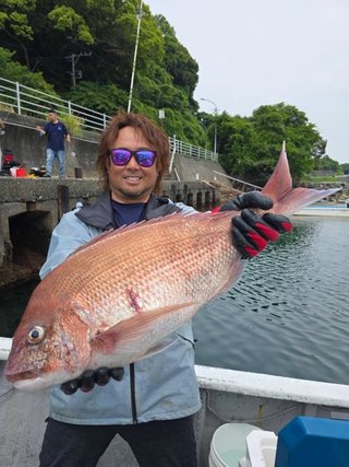 マダイ