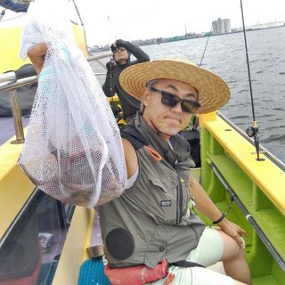 マダコ