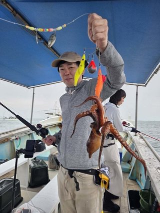 タコ