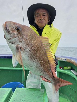 マダイ