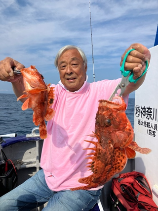 オニカサゴ