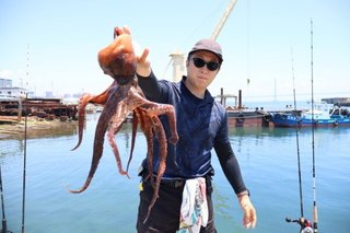 タコ