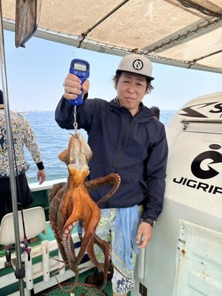 タコ
