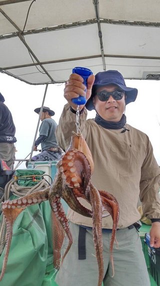 タコ