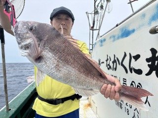 マダイ