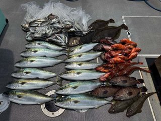 マトウダイ