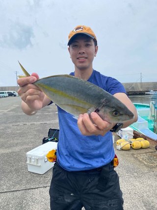 シマアジ