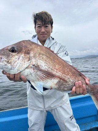 マダイ