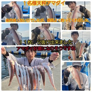 シロアマダイ