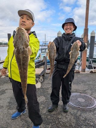 マゴチ