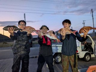 マダイ