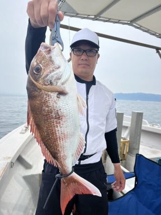 マダイ