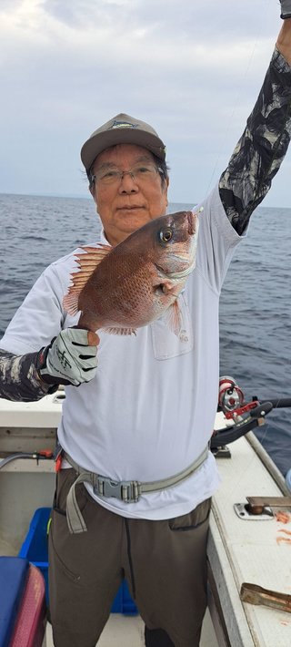 マダイ