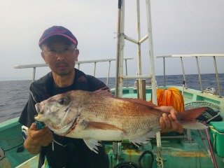 マダイ