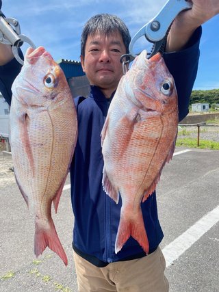 マダイ