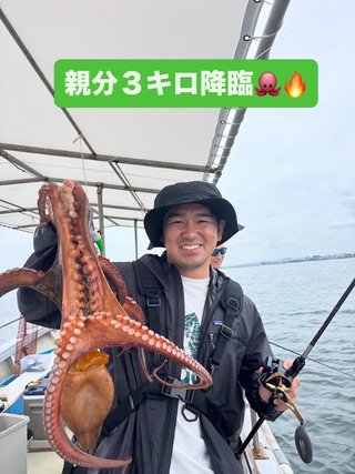 マダコ