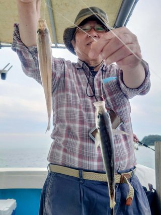 シロギス