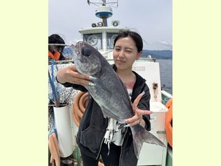 メダイ