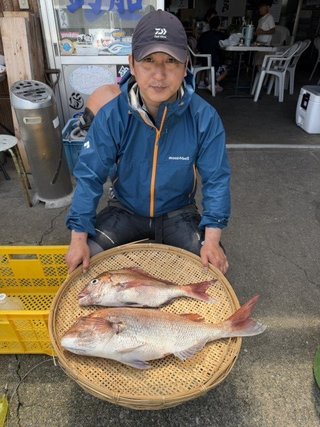 マダイ