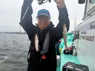 シロギス