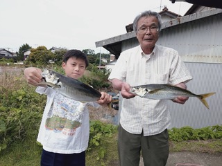 アジ