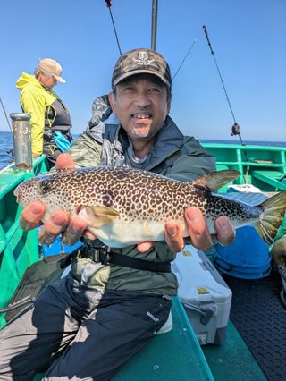 ショウサイフグ