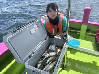マアジ
