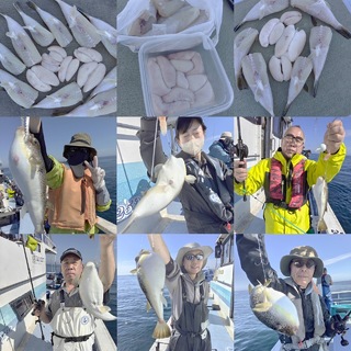 ショウサイフグ
