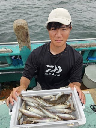 シロギス
