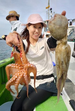 マダコ