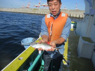 アジ