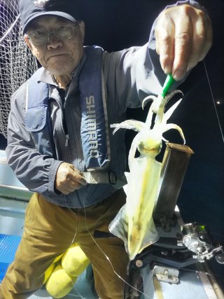 ヤリイカ